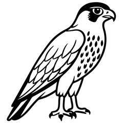 Hunting Falcon Vector Illustration