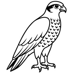 Hunting Falcon Vector Illustration