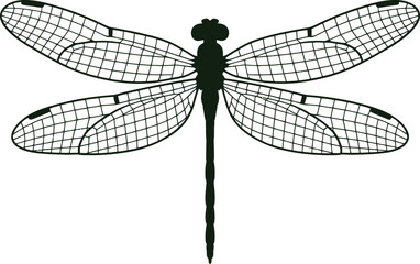 Vector Graphic Dragonfly Silhouette Illustration with Delicate Wings and Intricate Details for Design Projects