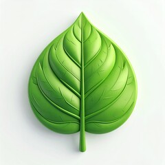 Glossy, stylized green leaf with detailed veins, centered on white