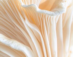 Macro view of textured, layered, creamy white fungi gills