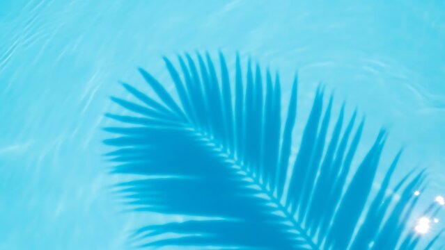 Reflection of palm leaf in clear blue water, summer poolside nature scene, bright natural light, tropical outdoor environment, top-down view
