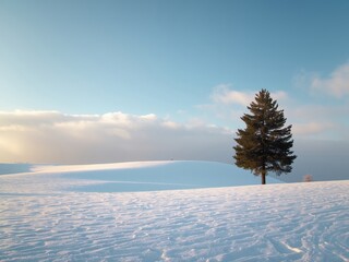 Snowy landscape with single tree