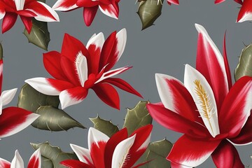 Bright Red and White Christmas Cactus Flower