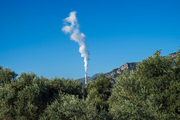 General overview of environmental pollution in forest settlement area and thermal power plant.