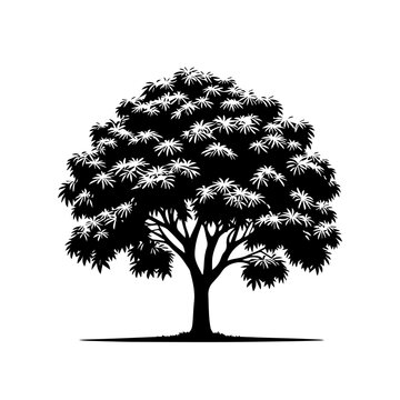 Mango Tree Vector Illustration with Lush Tropical Canopy