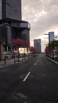 shen zhen city buildings