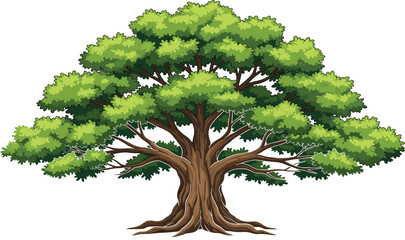 Large majestic green oak tree with wide leafy canopy and strong wooden roots for nature landscape environment park and outdoor forest vector design. © Aminul