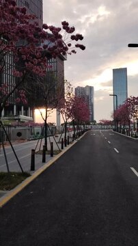 shen zhen city buildings