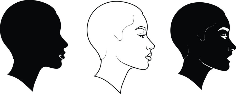 Profile Silhouettes and Outline of a Woman's Head on White Background face