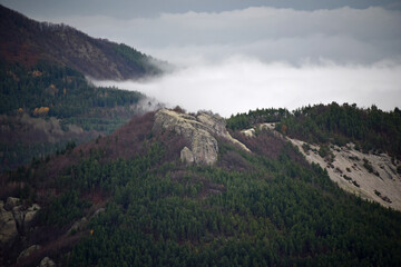 
Mountain landscape, forested slopes, pine trees, late autumn, rocky gray cliff, dense green trees
thick layer of fog and low clouds, coolness, gray cloudy sky, harsh landscape, early morning in the m