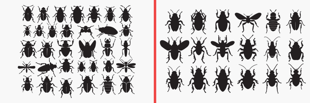 insect pattern silhouette vector, decorative bug black silhouettes, seamless insect design, creepy insect pattern artwork, biology pattern vector, insect icon background, bug repeat design, nature ins