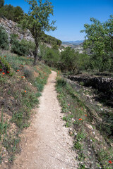 Obraz premium Scenic dirt path in a lush green landscape from the Rute del Gollizno, Spain