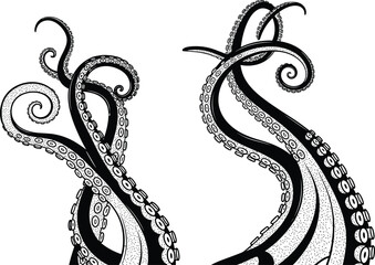 Detailed black and white octopus tentacles set with suckers and swirls isolated on white background for nautical and tattoo design © ROJUFA