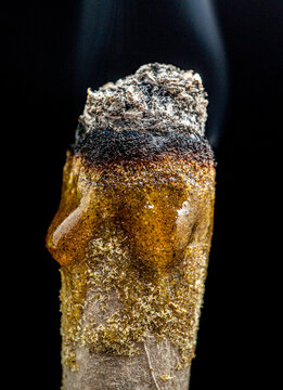 Terpene Rich 1g indoor joint