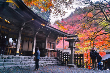 京都市左京区、秋の紅葉シーズンの貴船神社、本宮の拝殿でお参りをする観光客
