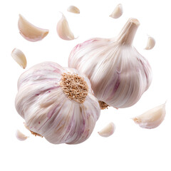 Fresh vibrant garlic bulbs and separated cloves ready for culinary use and healthy cooking