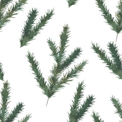 Watercolor Christmas seamless pattern with fir branches. Hand drawn illustration on white background, for wallpaper, wrapping