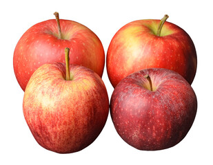 Red apples, Malus, isolated on transparent png or white background