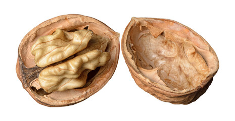 Walnut or Juglans regia with opened shell and kernel isolated on transparent or white background, png graphic design element 