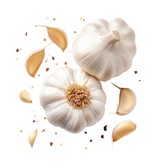 Dynamic composition of fresh garlic bulbs and cloves with chili flakes on black