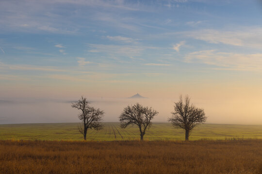 Silhouette of a Hazmburk castle in the morning inversion