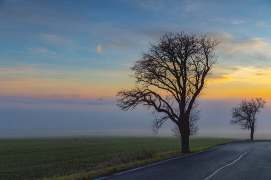 Silhouette of a Hazmburk castle in the morning inversion