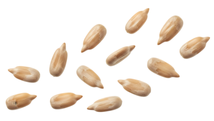 Close-up view of numerous peeled sunflower seeds scattered on a clean remove background png, ready for consumption or baking.