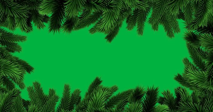 Animation of decoration with frame of green fir tree branches on black background
