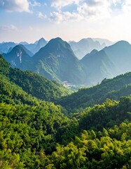 Naklejka premium Lush Green Mountains and Bamboo Forest Under Blue Sky