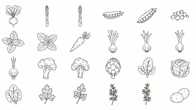 Collection of Hand-Drawn Vegetable Icons: Fresh Produce for Healthy Eating and Cooking Illustrations