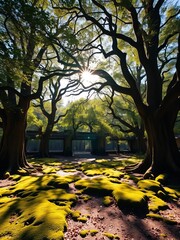 Sun-dappled clearing with ancient trees and mossy ground,  green,  ancient
