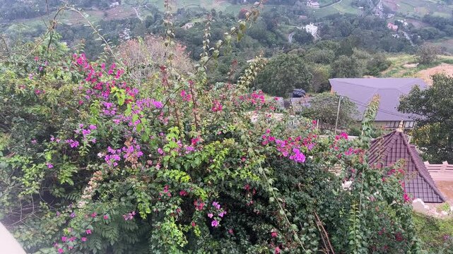 Beautiful scenic view in Badulla Sri Lanka
