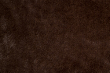 Brown mink fur, background texture in your project.
