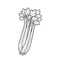 A black and white vector design of celery plants showing elegant stems and leaves, illustrated with smooth outlines, balanced shapes, and a minimalist botanical illustration style.