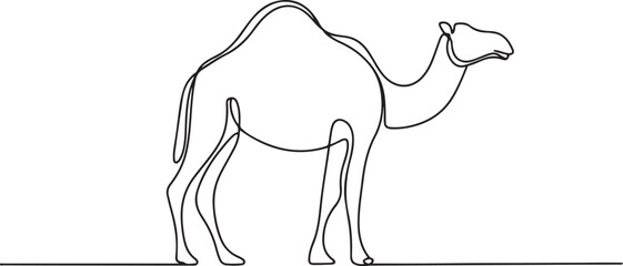 Fototapeta premium camel animal mammal full body.one line vector illustration with out background.