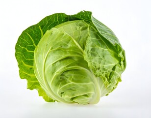 A single, fresh, green cabbage on a white background
