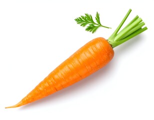 A close-up view of an orange carrot with green stem and leaf