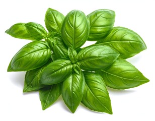 Lush, vibrant green basil leaves arranged in a circular bouquet