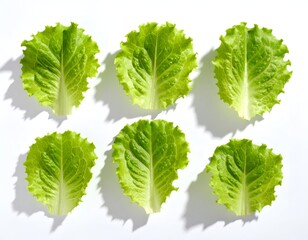 Six green lettuce leaves arranged on white, crisp and fresh
