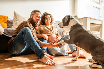 Couple Interacts With Dog While Expecting a Baby in Their Living Room on a Sunny Afternoon