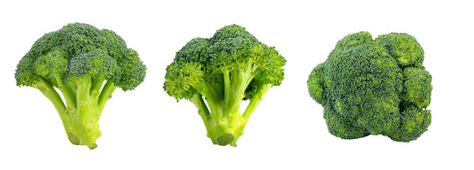 Fresh broccoli display on transparent background nature photography culinary inspiration