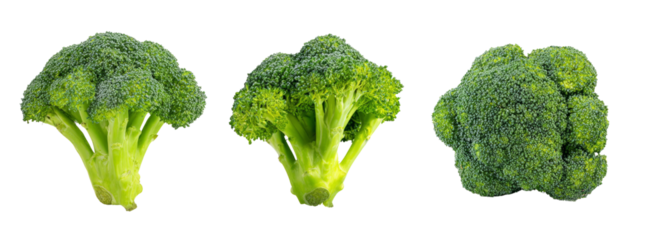Fresh broccoli display on transparent background nature photography culinary inspiration