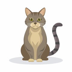 Obraz premium cat on white background