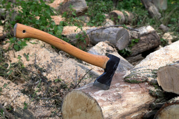Chopping axe resting on wood stump in nature