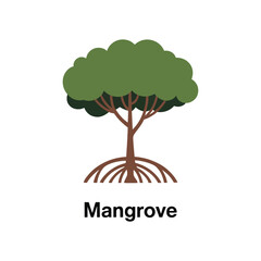 A simplified illustration depicts a mangrove tree with exposed roots on a white background.