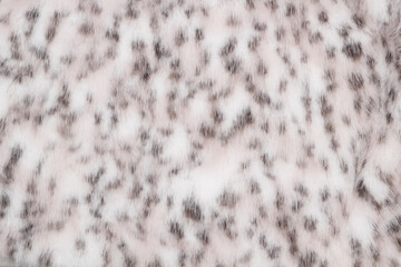 Snow leopard fur, texture background in your project