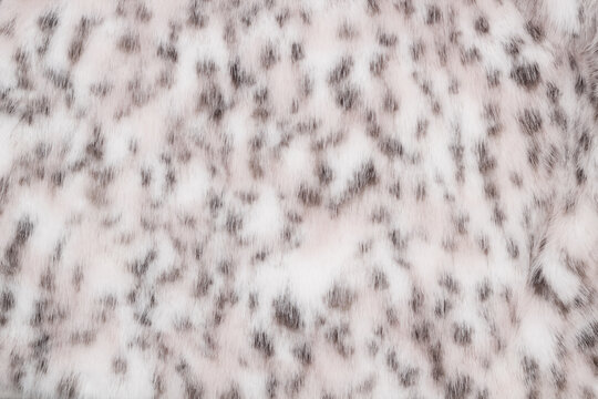 Snow leopard fur, texture background in your project