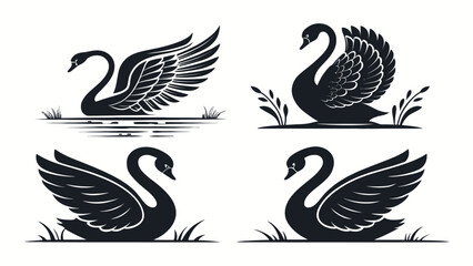 Obraz premium Elegant swans in various poses with natural scenery