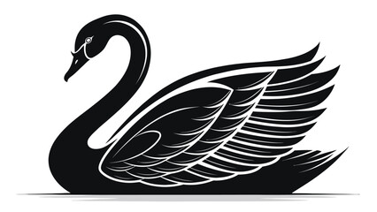Obraz premium Elegant black swan with detailed feathers on white background